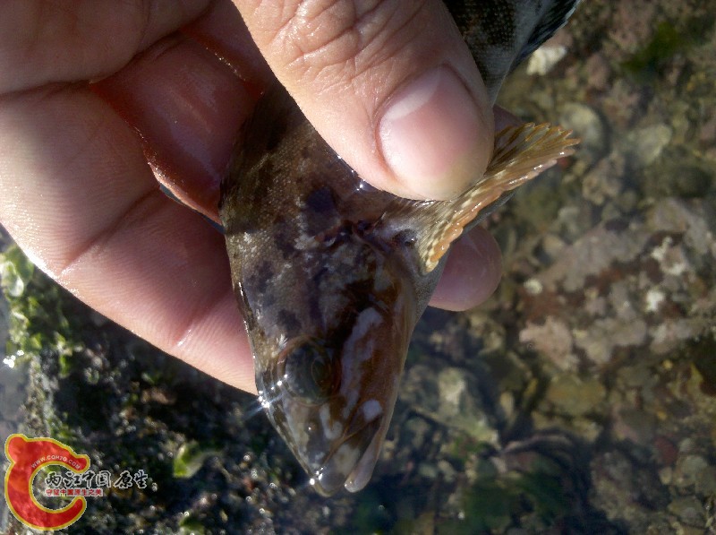 2012-11-24_13-19-05_653.jpg