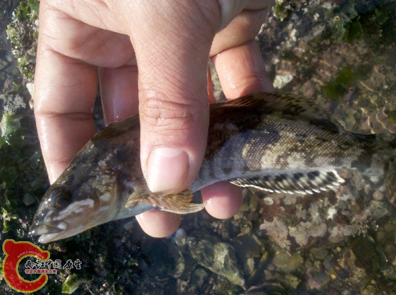 2012-11-24_13-19-10_466.jpg