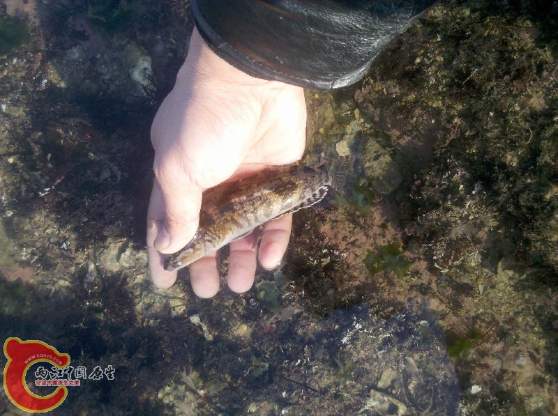 2012-11-24_13-19-59_544.jpg