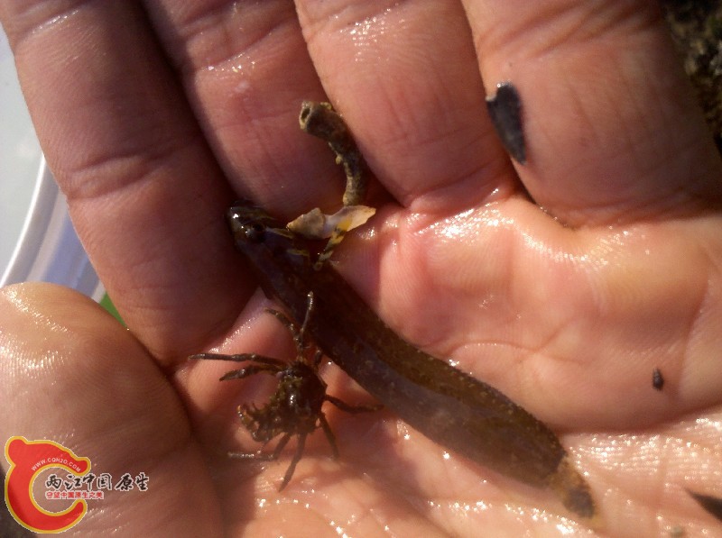 2012-11-24_13-23-56_162.jpg