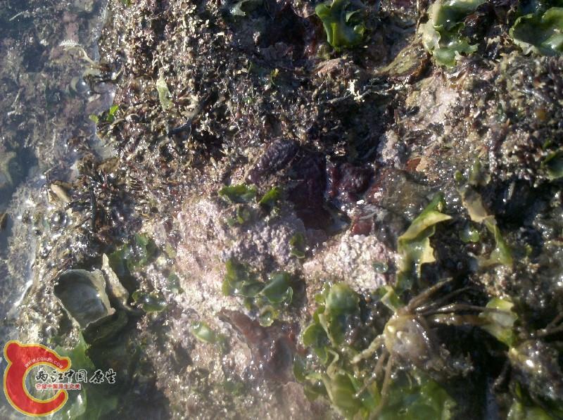 2012-11-24_13-24-28_215.jpg