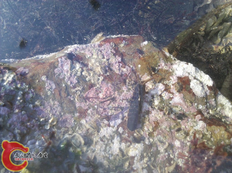 2012-11-24_13-26-59_645.jpg