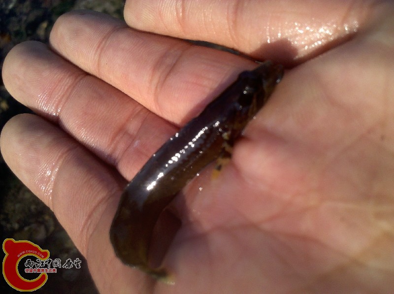 2012-11-24_13-26-29_550.jpg