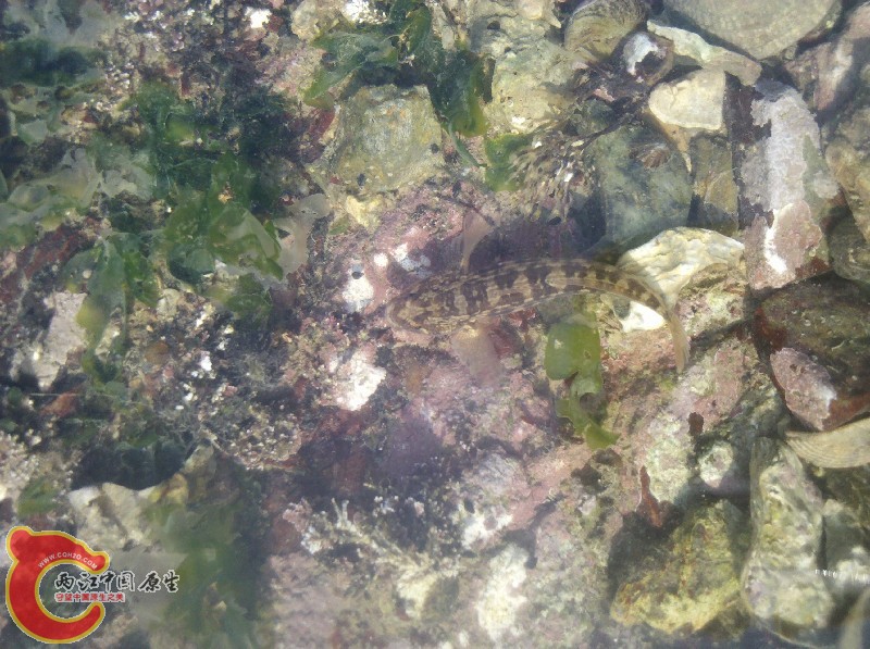 2012-11-24_13-28-31_442.jpg