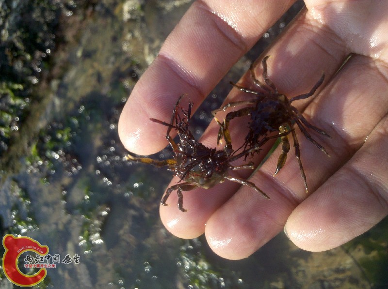 2012-11-24_13-35-32_210.jpg