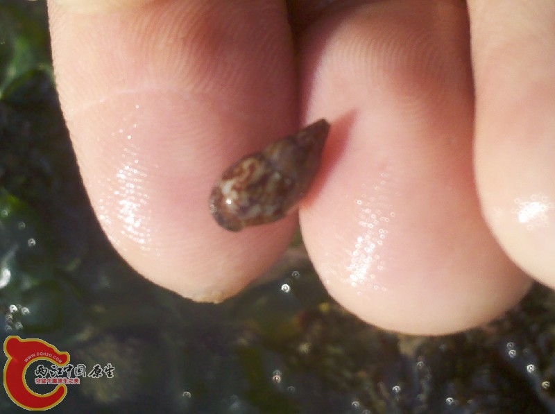2012-11-24_13-36-16_478.jpg