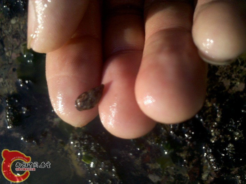 2012-11-24_13-36-22_896.jpg