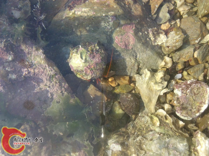 2012-11-24_13-38-19_531.jpg