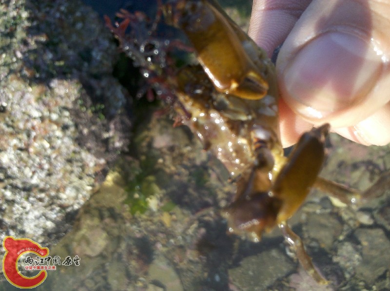 2012-11-24_13-39-12_127.jpg
