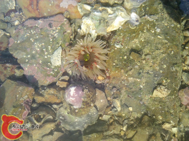 2012-11-24_13-39-27_137.jpg