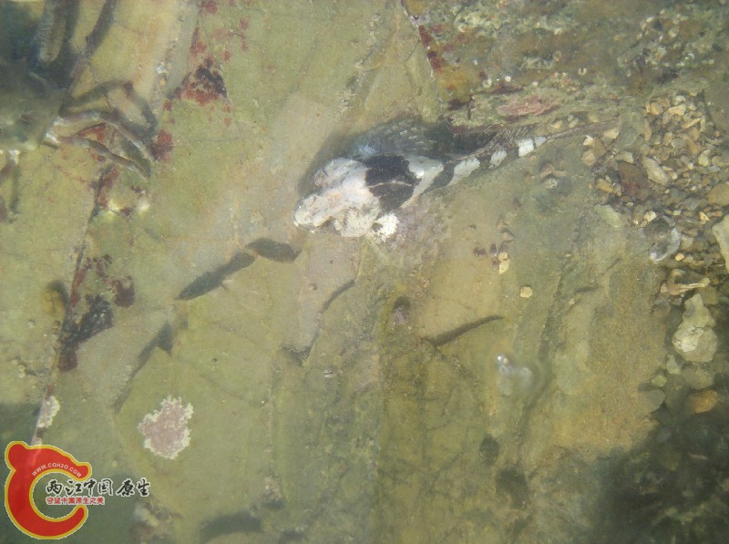 2012-11-24_13-39-34_352.jpg