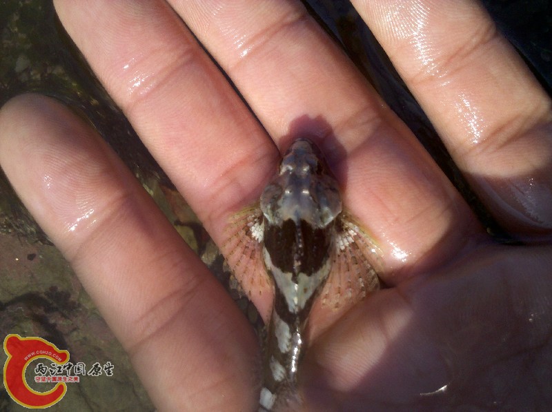 2012-11-24_13-40-19_64.jpg