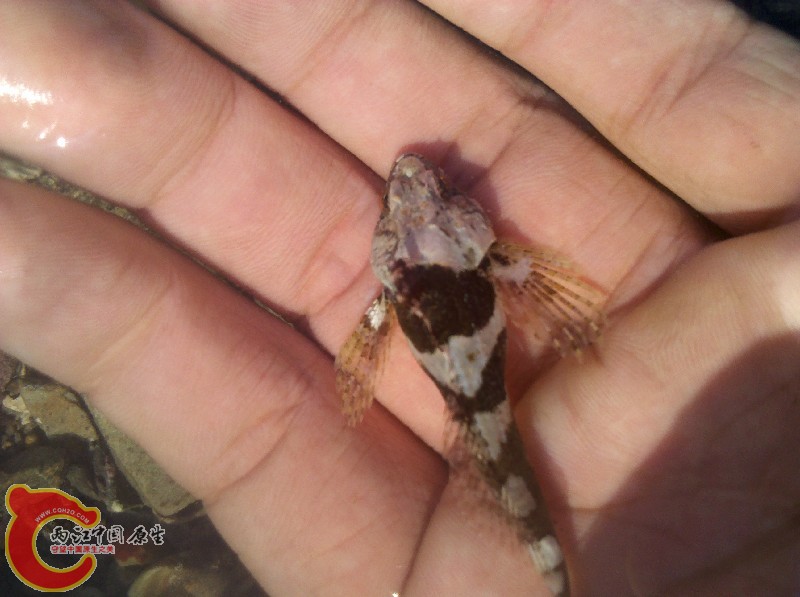 2012-11-24_13-40-30_275.jpg