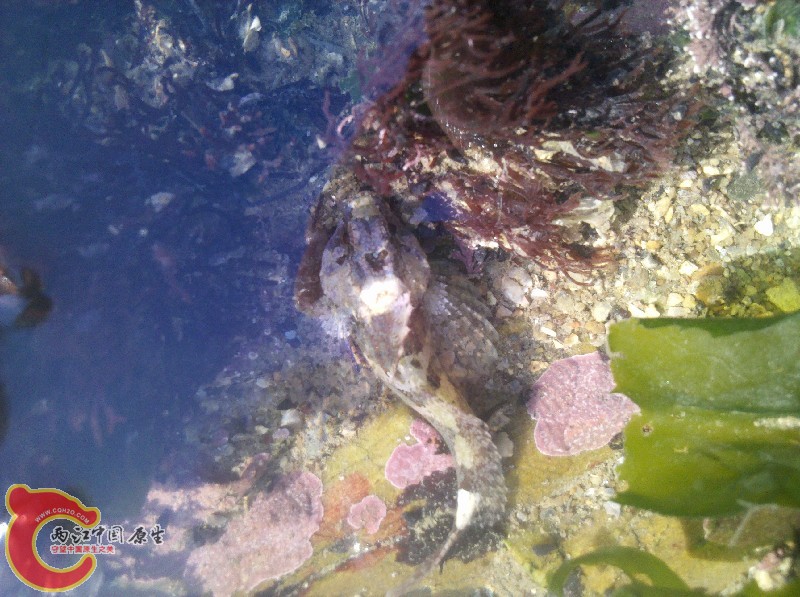 2012-11-24_13-45-41_634.jpg