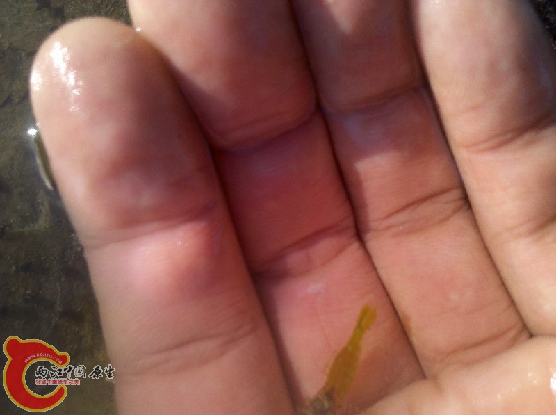2012-11-24_13-55-05_206.jpg
