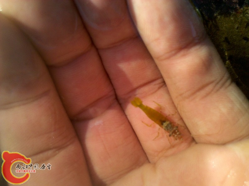 2012-11-24_13-55-13_870.jpg