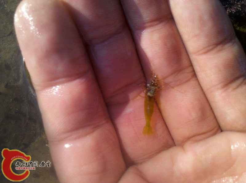 2012-11-24_13-55-08_963.jpg