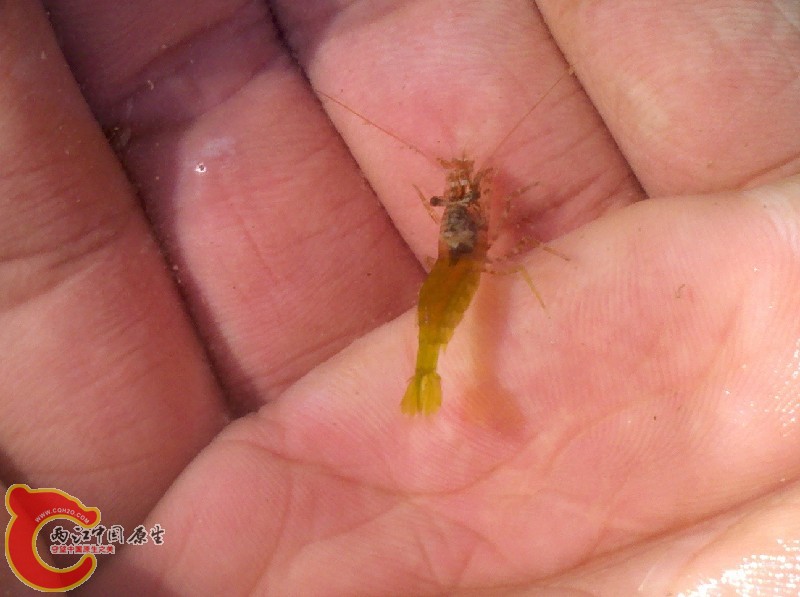 2012-11-24_13-55-37_413.jpg