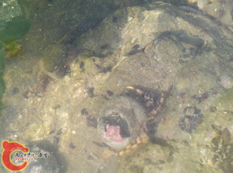 2012-11-24_13-56-04_12.jpg