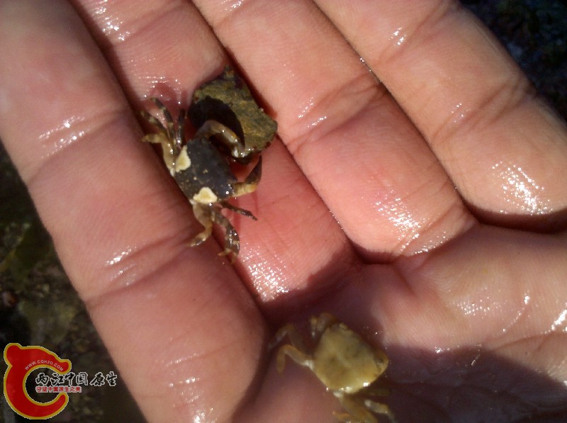 2012-11-24_13-57-43_319.jpg