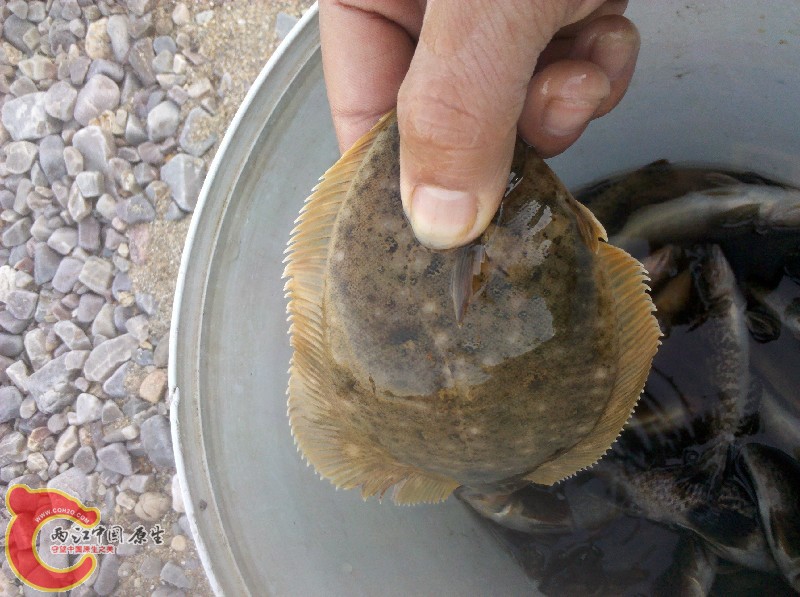2012-11-24_14-03-01_257.jpg