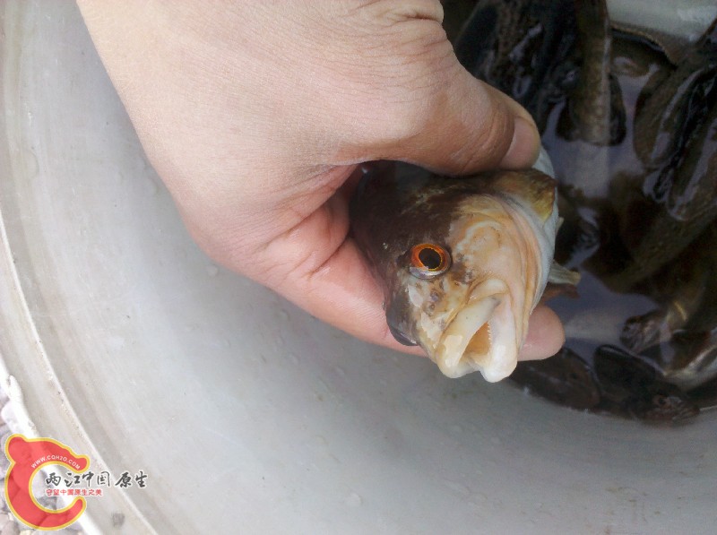 2012-11-24_14-03-39_398.jpg