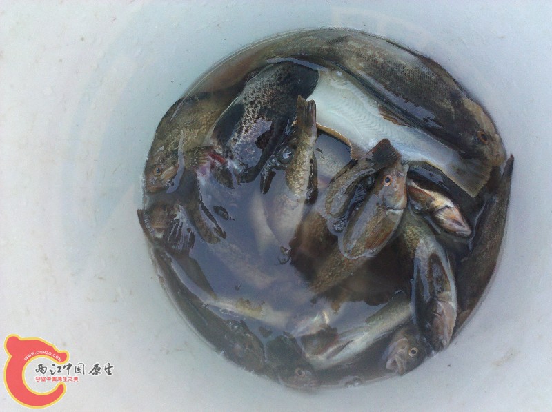 2012-11-24_14-03-43_924.jpg