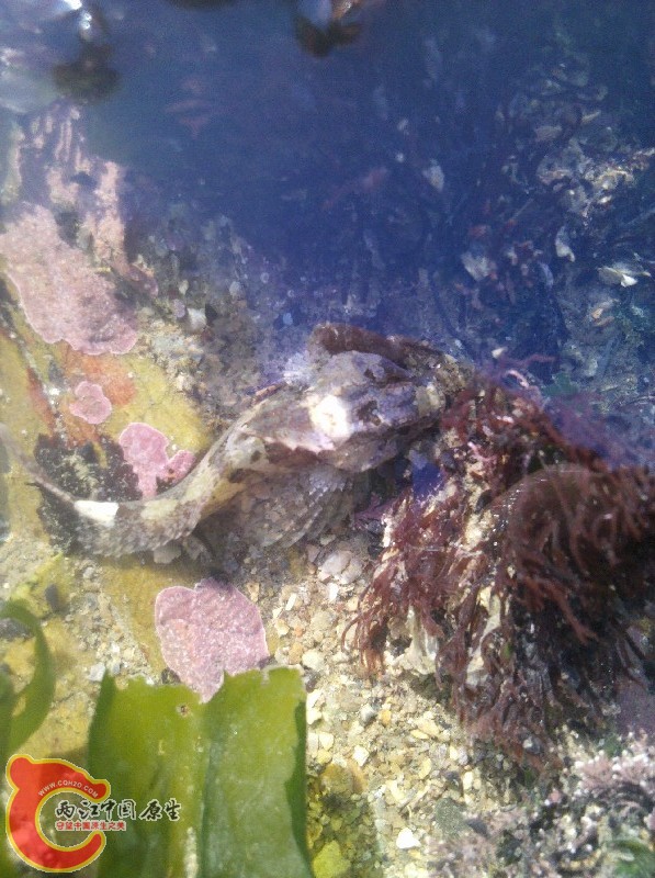 2012-11-24_13-45-41_634.jpg