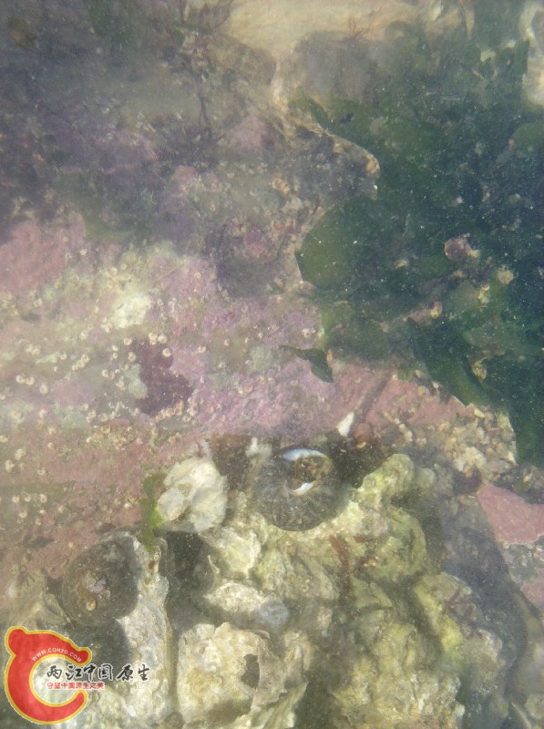 2012-11-24_13-42-59_592.jpg