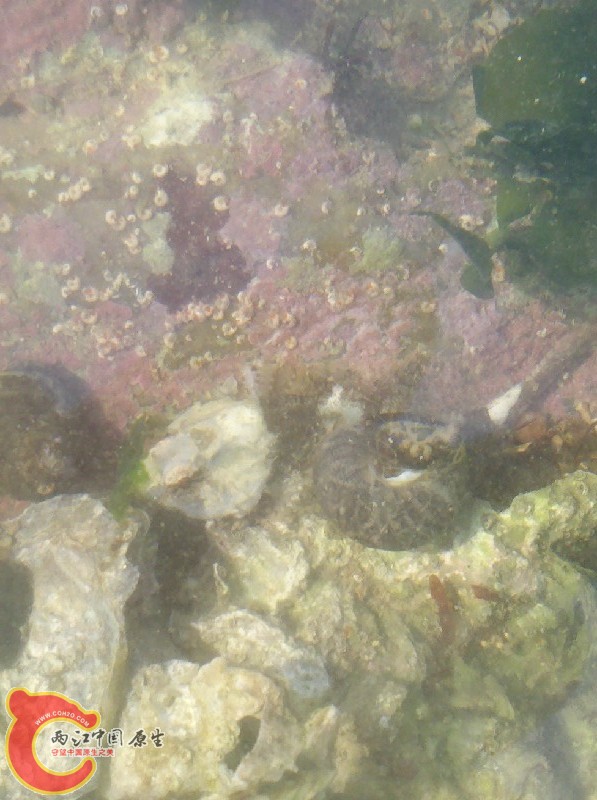 2012-11-24_13-43-37_212.jpg