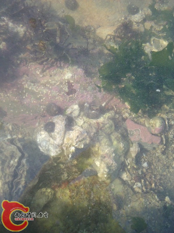 2012-11-24_13-43-45_640.jpg