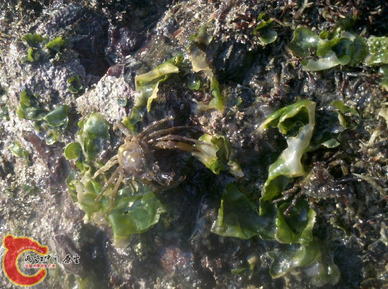 2012-11-24_13-24-33_698.jpg