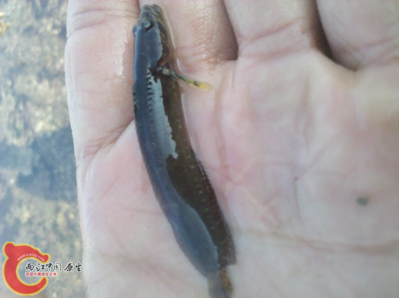 2012-11-24_13-24-47_920.jpg
