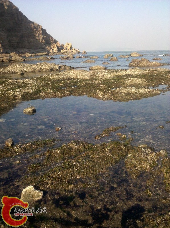 2012-11-24_13-19-16_281.jpg