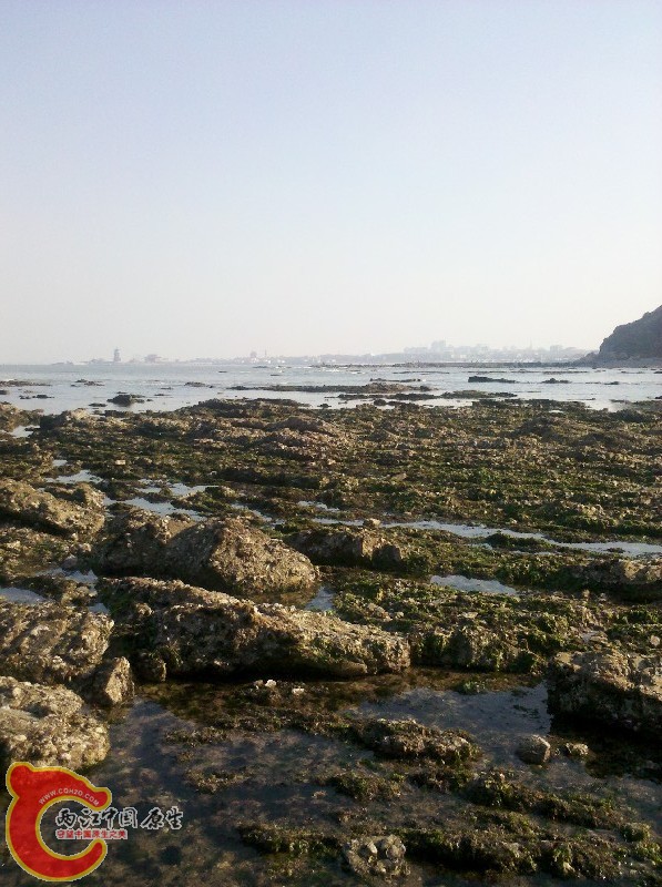 2012-11-24_13-19-29_811.jpg