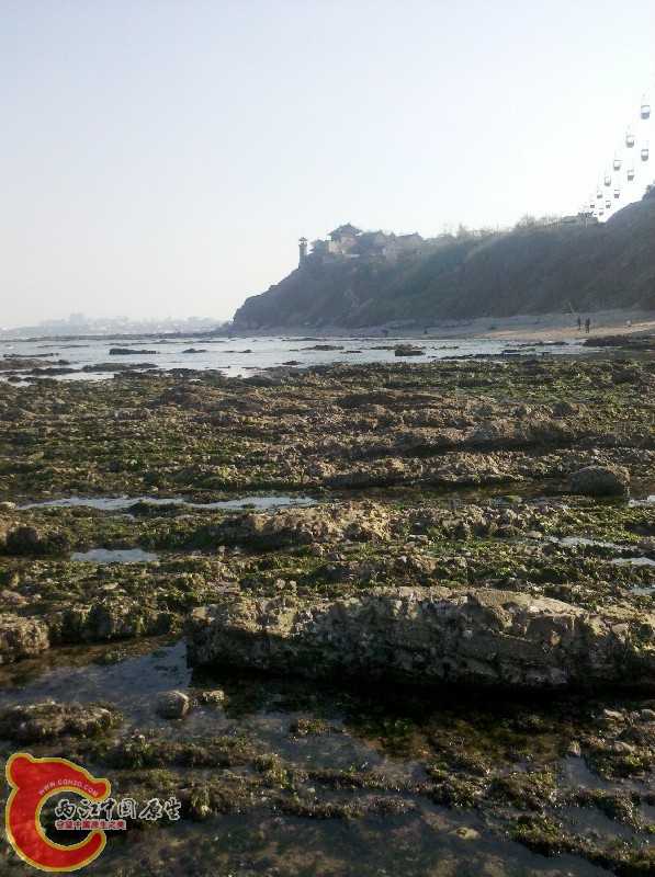 2012-11-24_13-19-33_430.jpg