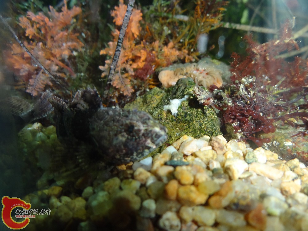 DSC06971.JPG