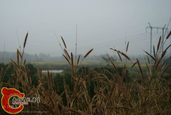 04.jpg