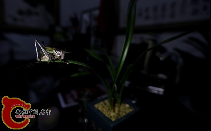 未命名5.jpg