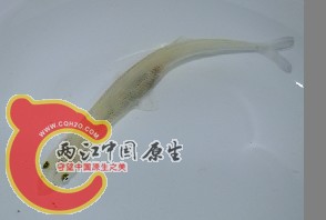 未命名1.jpg