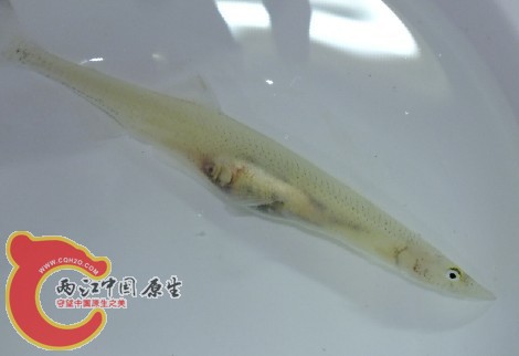 未命名2.jpg