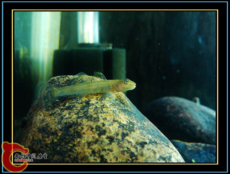 nEO_IMG_C360_2012-12-01-18-26-58.jpg
