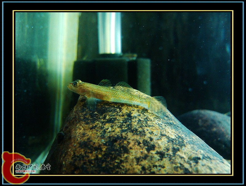 nEO_IMG_C360_2012-12-01-18-27-25.jpg