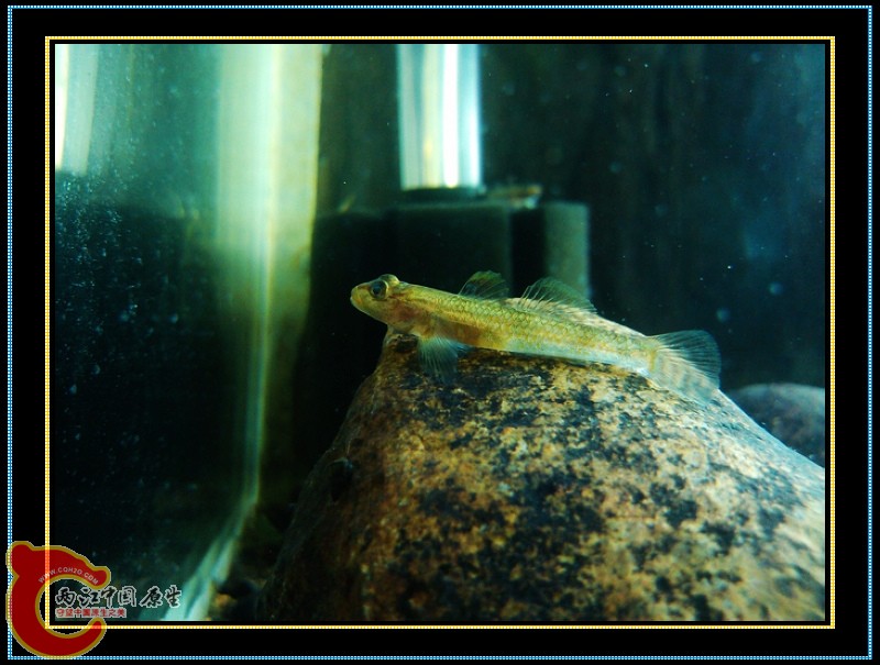 nEO_IMG_C360_2012-12-01-18-27-36.jpg