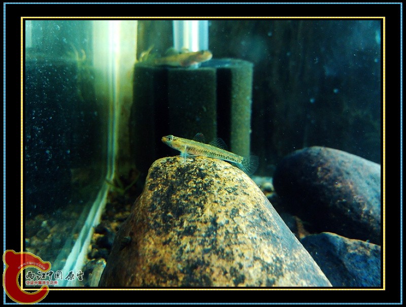 nEO_IMG_C360_2012-12-01-18-40-24.jpg