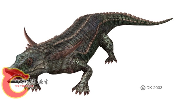 林蜥Desmatosuchus.jpg