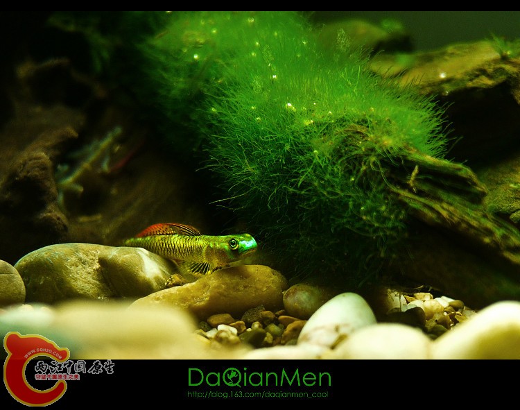 2612932208822301303 (1).jpg