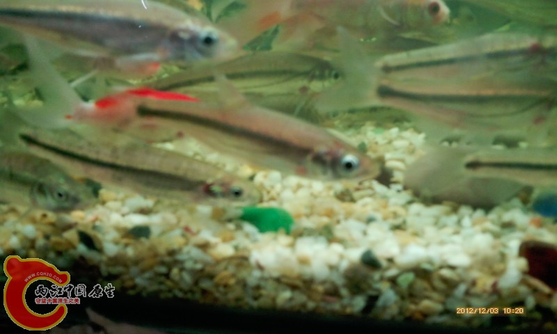 IMG_20121203_102001.jpg
