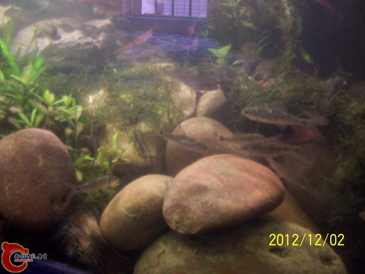 100_0300.JPG