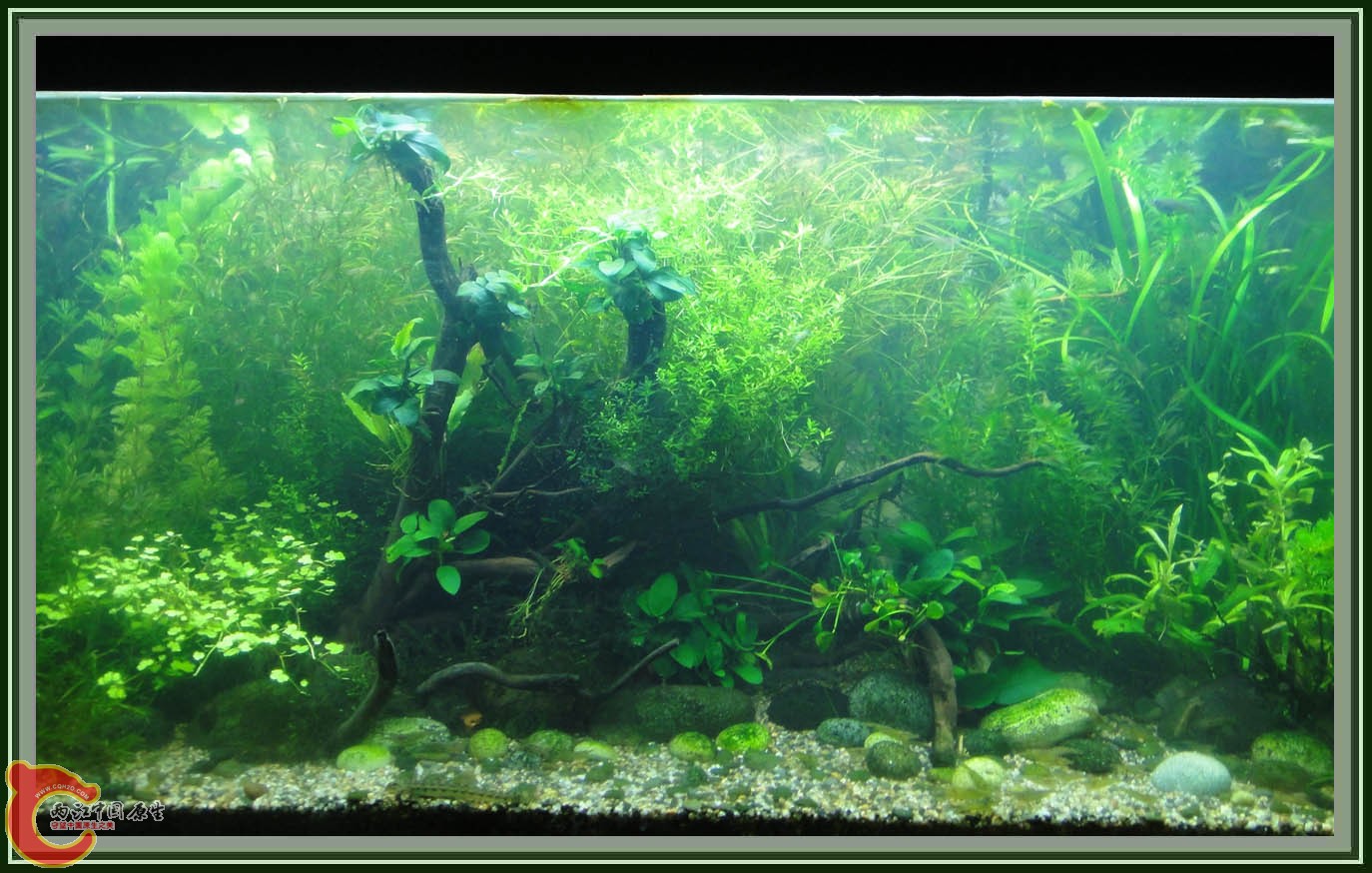 第六次DSC01514.JPG 第六次DSC01514.JPG